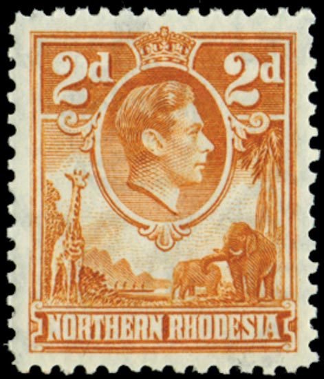 Northern Rhodesia SG 31 mint 1938-52 2d yellow-brown, unmounted o.g.
