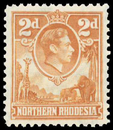 Northern Rhodesia SG 31 mint 1938-52 2d yellow-brown, unmounted o.g.