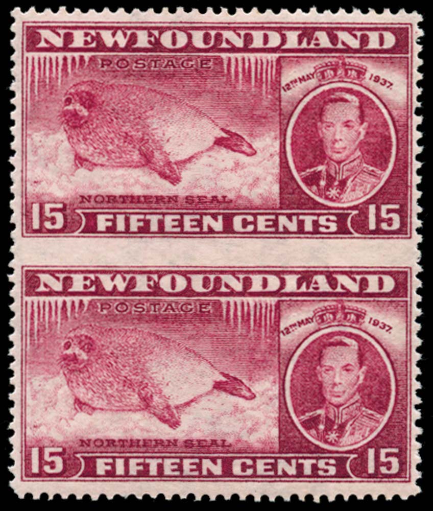 NEWFOUNDLAND 1937  SG263cb Mint