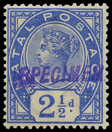 NATAL 1891  SG113s Specimen 2&frac12;d bright blue unmounted