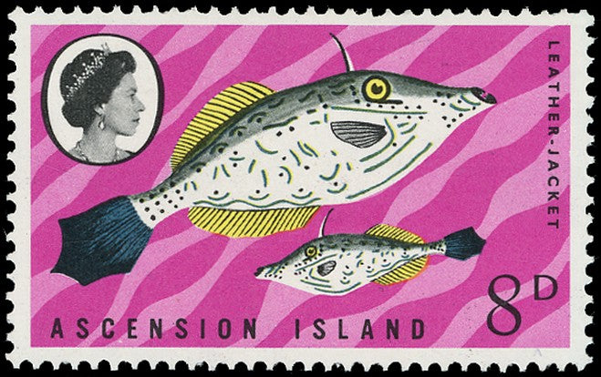 ASCENSION 1968  SG114w Mint unmounted Fish 8d Leather-jacket variety watermark Crown to right of CA
