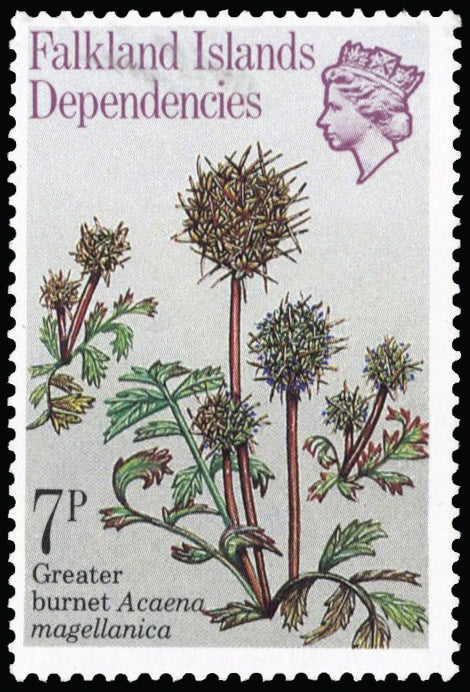 Falkland Islands Dependencies SG 91w Unmounted Mint 1981 Plants 7p variety inverted watermark