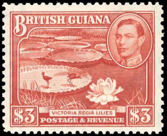 British Guiana SG 319a Unmounted Mint 1938-52 $3 bright red-brown