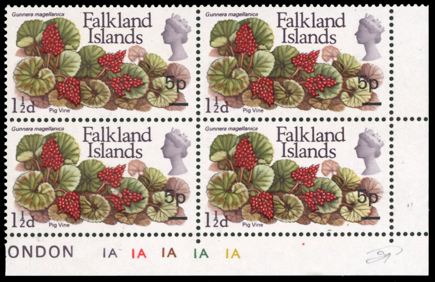 Falkland Islands SG 264b Unmounted Mint 1971 Decimal Currency 1p on 1½d Pig Vine error Surcharge 5p and misplaced to right