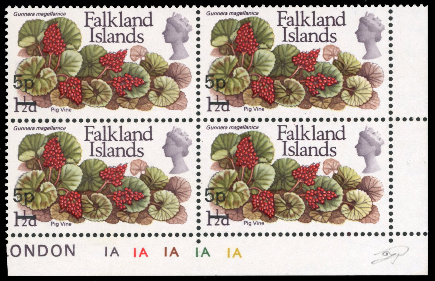 Falkland Islands SG 264a Unmounted Mint 1971 Decimal Currency 1p on 1½d Pig Vine error Surcharge 5p instead of 1p