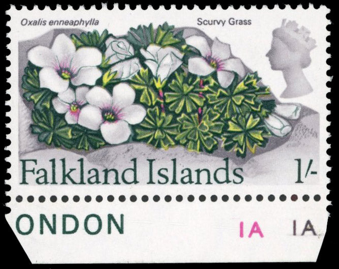Falkland Islands SG 240w Unmounted Mint 1968 Flowers 1s Scurvy Grass variety watermark inverted