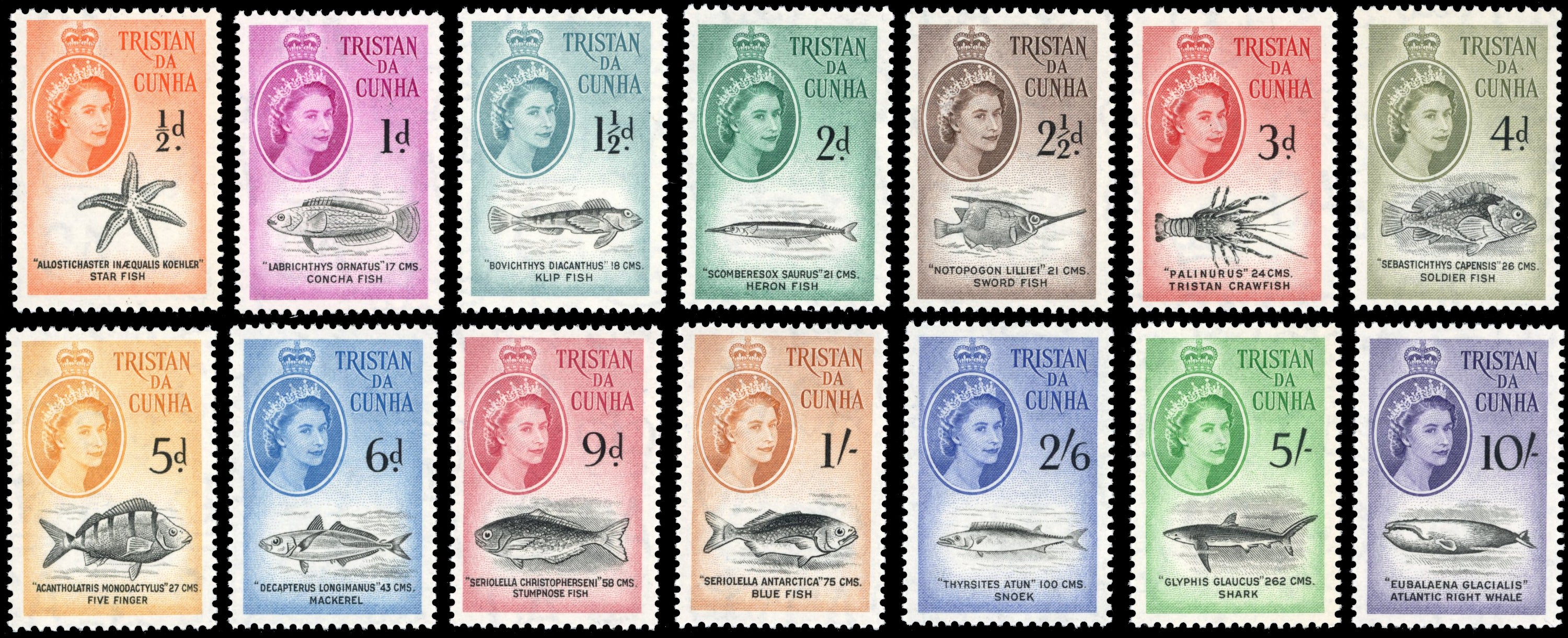 Tristan da Cunha SG 28/41 Unmounted Mint 1960 Marine Life set of 14
