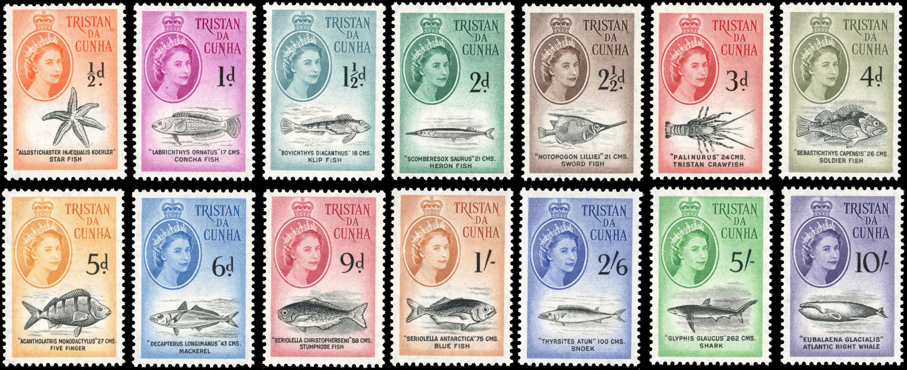 Tristan da Cunha SG 28/41 Unmounted Mint 1960 Marine Life set of 14