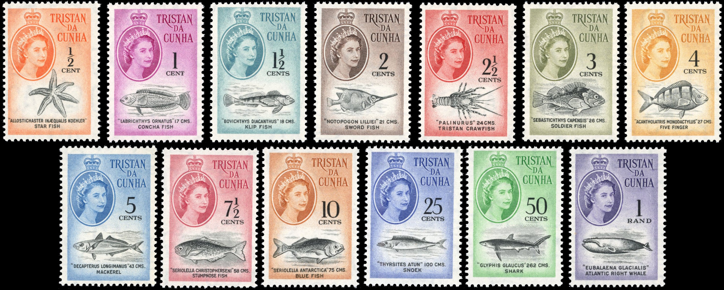 Tristan da Cunha SG 42/54 Unmounted Mint 1961 Marine Life set of 13
