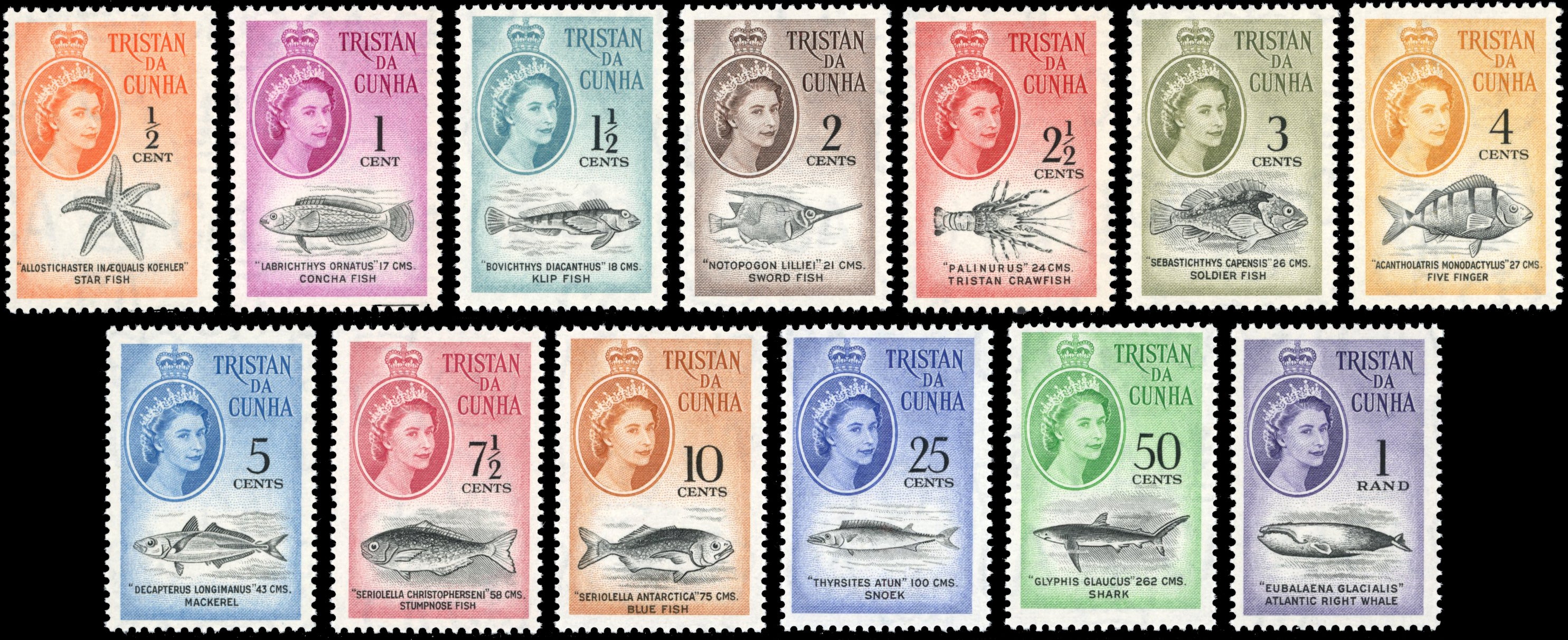 Tristan da Cunha SG 42/54 Unmounted Mint 1961 Marine Life set of 13