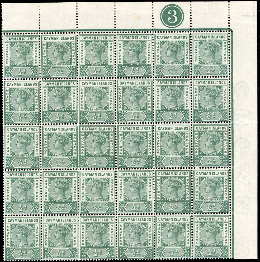 Cayman Islands SG 1, 2a Mint 1900 ½d deep green, 1d pale carmine plate blocks of 30