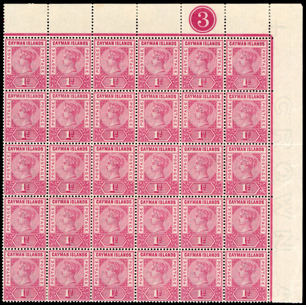 Cayman Islands SG 1, 2a Mint 1900 ½d deep green, 1d pale carmine plate blocks of 30