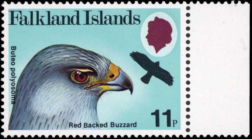 Falkland Islands SG 385w 1980 11p Birds of Prey wmk Crown to left of CA unmounted mint